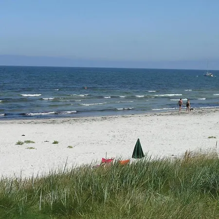 Cozy In With Kitchen * 内克瑟